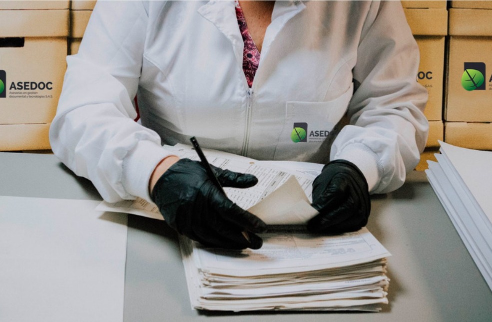 Organización de archivos asedoc