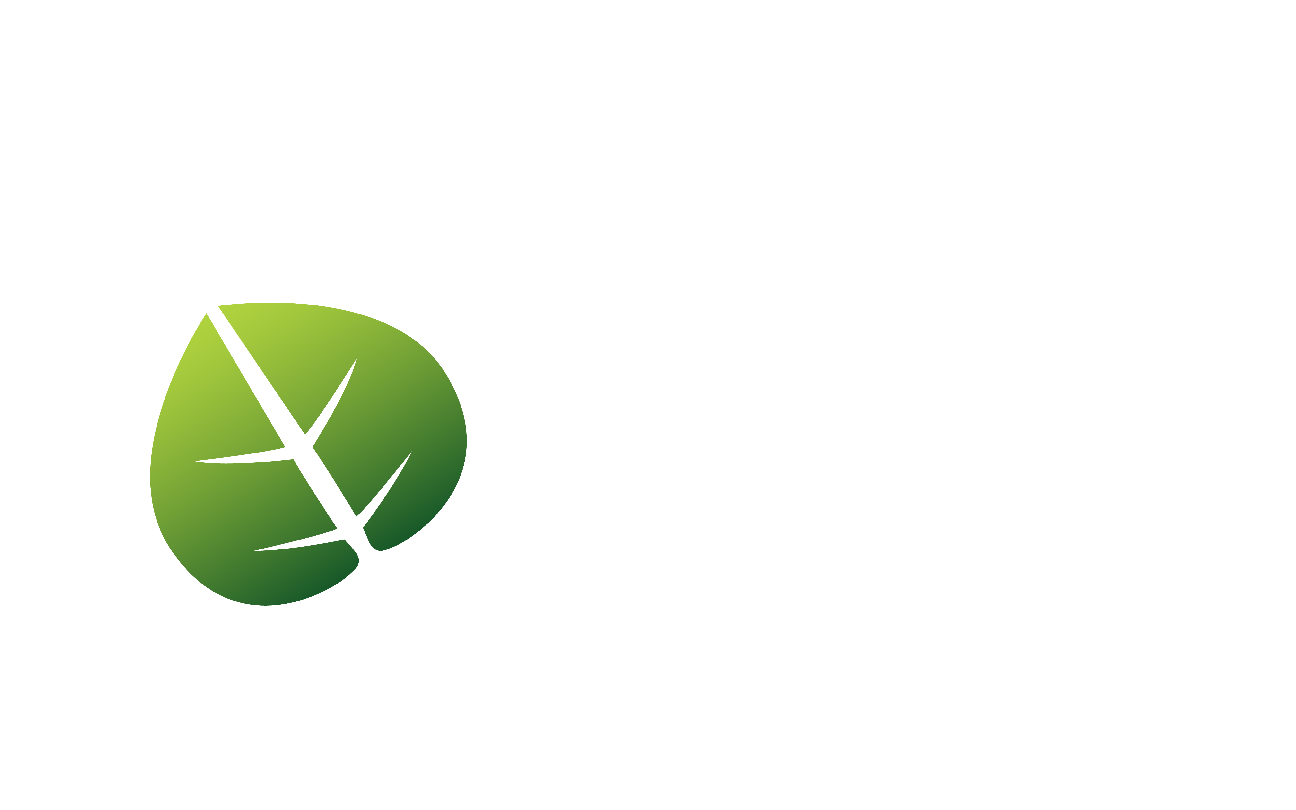 Asedoc servicios de gestión documental y tecnología